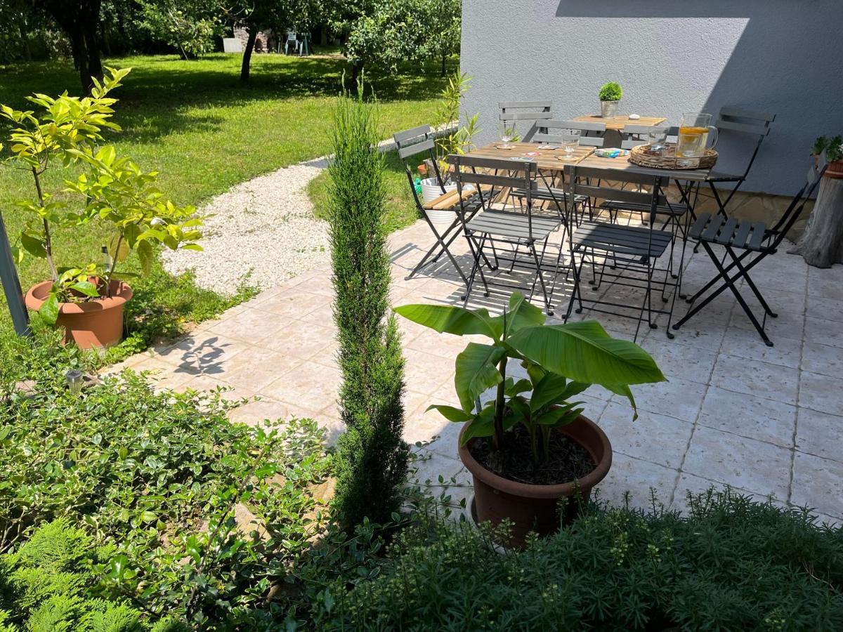 Jazmin Vendeghaz Es 2 Fos Studio Apartman Pogany Экстерьер фото